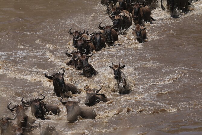 5-Day Private Northern Tanzania Safari From Arusha - Cancellation and Refund Policy