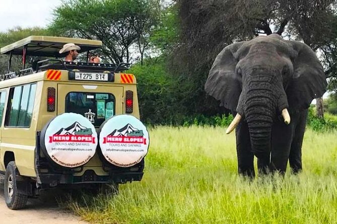 5 Days Camping Tarangire, Serengeti & Ngorongoro Crater & Visiting Maasai - Camping Experience