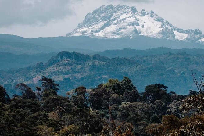 5 Days Safari, Hiking & Culture (Serengeti & Kilimanjaro) - Destination Highlights