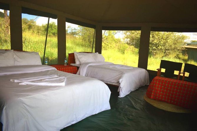 5 Days Serengeti, Ngorongoro, Tarangire & Manyara Lodge Tour - Wildlife Encounters