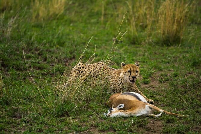 5 Days Tanzania Group Joining Safari, Tarangire/Serengeti/Ngorongoro Crater - Baggage Limitations