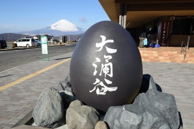 5 Days Tour Mt Fuji Tokyo Kyoto Osaka Nara by Car English Driver - Key Points