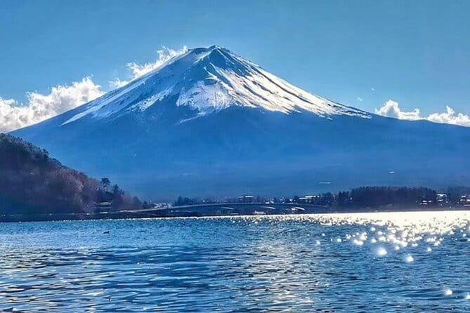 5 Days Tour Mt Fuji Tokyo Kyoto Osaka Nara by Car English Driver - Daily Itineraries