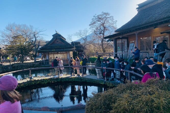 5 Days Tour Mt Fuji Tokyo Kyoto Osaka Nara by Car English Driver - Kyoto