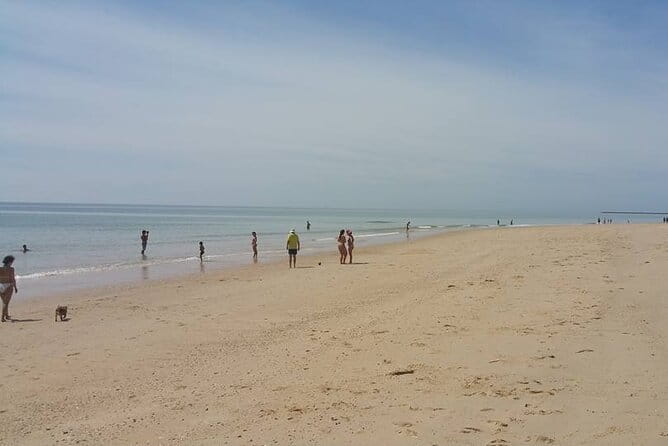 5-hour tour with 3 stops around the islands and beaches of Ria Formosa - Frequently Asked Questions