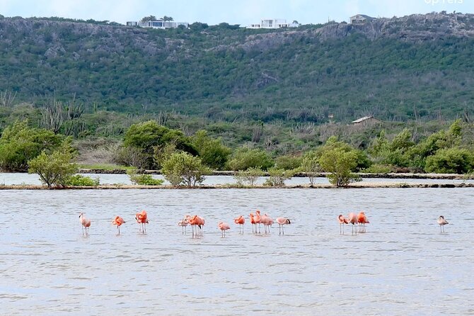 5 Hours ATV Jeep'S Style Beach Hopping Tour in Curacao - Safety and Accessibility