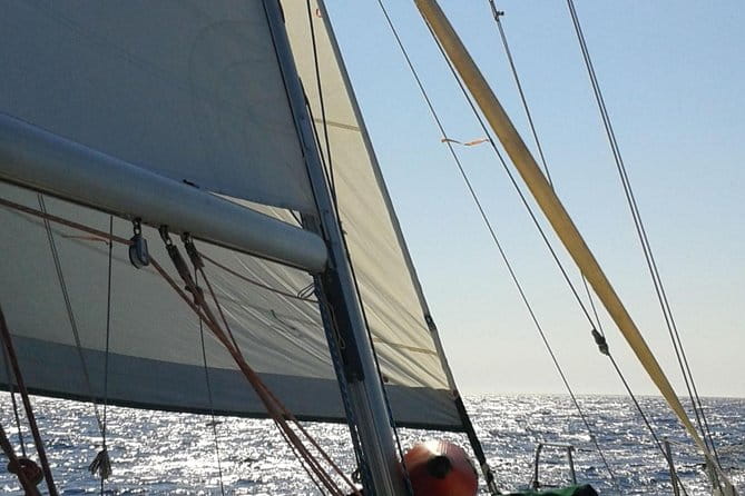 5 hours from Sithonia: Sailing trip secluded coves & Islands - Who Would Love This Tour?