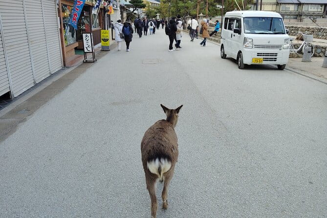 5 Hours Hiroshima Highlights Tour With Professional Guide - How to Prepare for the Tour