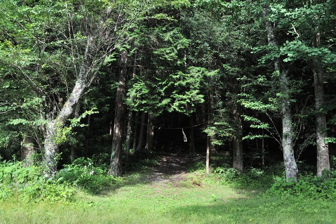 5 Hours of Pilgrimage Tour in the Footage of Mt Fuji in English - Inclusions and Exclusions