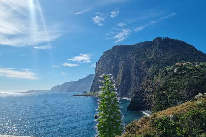 5 Hours Private Tour to Santana, Thatched houses - Summary of key highlights