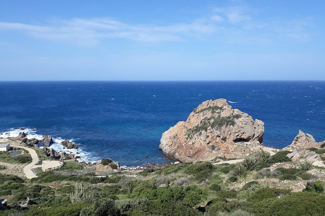 5 Hours VIP Tour of Tangier - Pricing and Offers