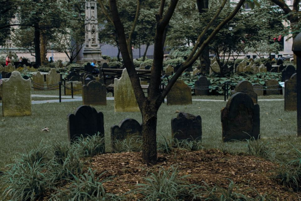 5 Neighborhoods NYC Walking Tour - Frequently Asked Questions