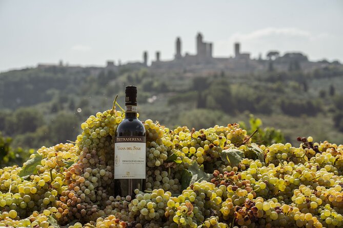 5 Wine Tastings in San Gimignano - Customer Reviews and Ratings