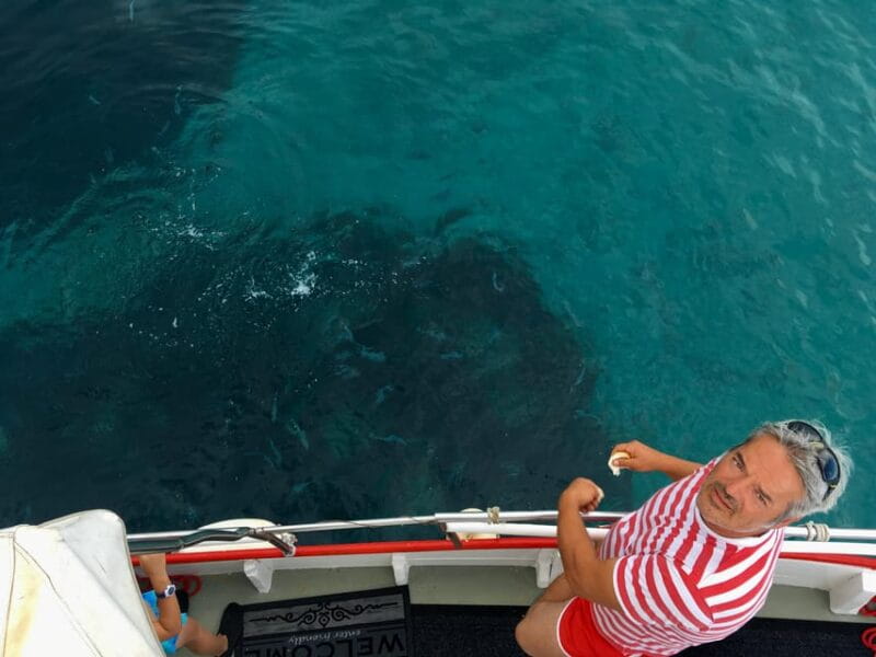 5,5h Plavnik Island: Swim & Snorkel with Capt. Bobo (Public) - Swimming, Snorkeling, and Bays of Untouched Beauty