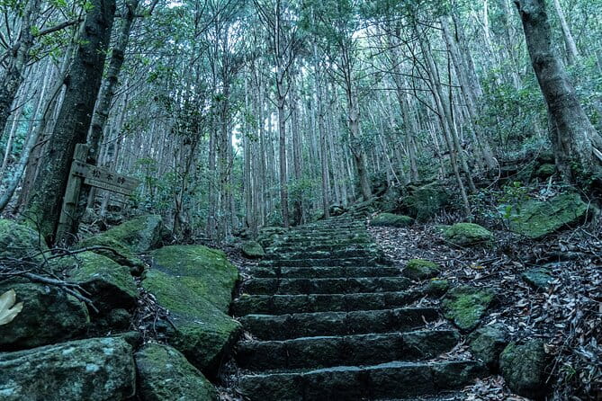 6 Day Private Ise and Kumano Tour - Kumano Kodo Pilgrimage