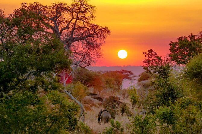 6-Day Private Midrange Tour in Arusha With Airport Pickup - Price and Guarantee