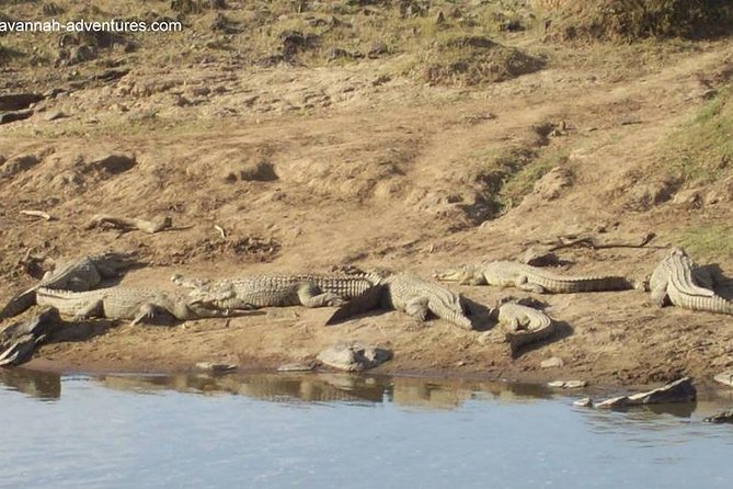 6 Days Guided Safari: Nairobi / Lake Nakuru / Lake Naivasha / Masai Mara N R - Booking and Cancellation Policy