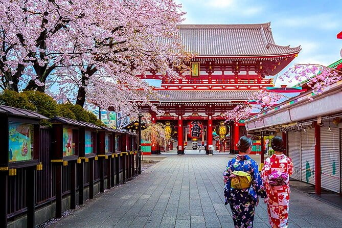 6 Days Japan Kanto, Kansai Deluxe Tour - Included Services