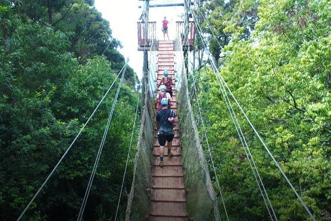 6 Dual-Zipline Mountain Adventure in Maui - Safety Requirements