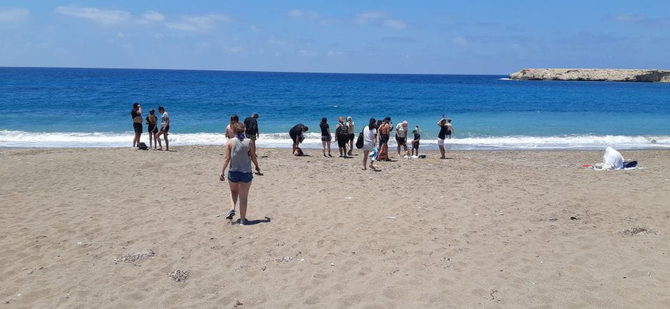 6 Hour Buggy Tour Akamas Incl Lunch and Adonis Falls - Frequently Asked Questions