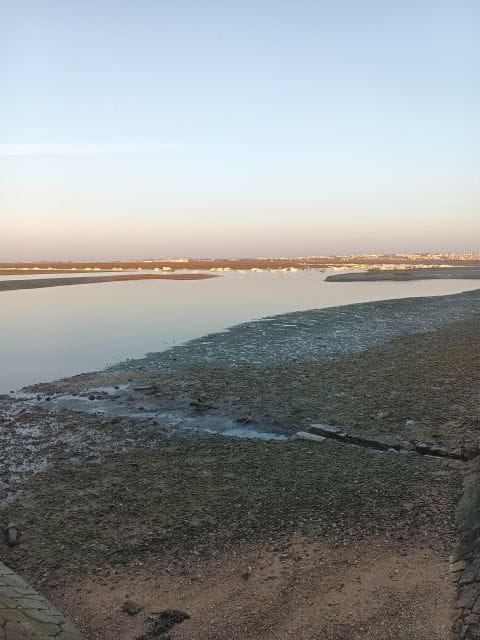 6 Hour Classic Boat Cruise, Ria Formosa Natural Park, Olhão. - Armona Island Exploration