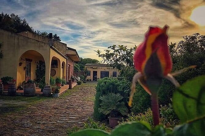 6 Hour Cooking Adventure in Banari - FAQ