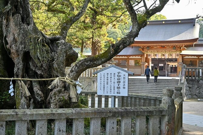 6 Hour Private E Bike Tour on Omishima - Meeting and Pickup