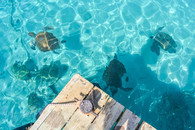 6 Hour Private Guided Tour Beyond the Beaches of Curacao - Meeting and Pickup Details