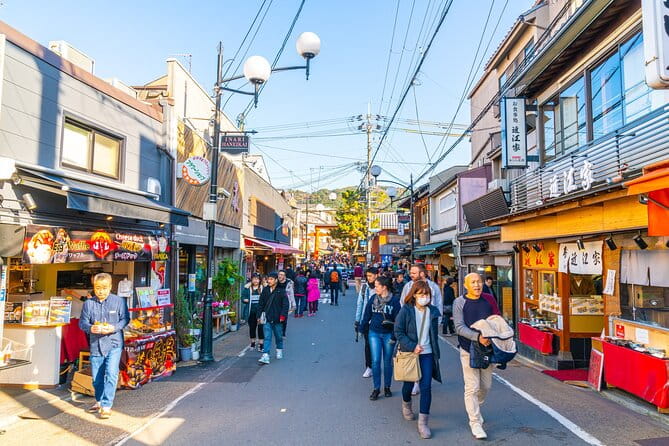 6-Hour Private Walking Cultural Tour in Kyoto - What to Expect