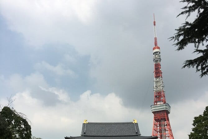 6-Hour-Tour Tokyo Highlights - Choosing Points of Interest