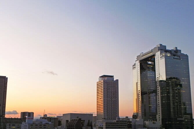 6 Hours Osaka Tour With National Licensed Guide - Key Points