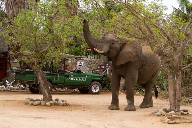 7 Day Classic Kruger National Park Safari - Exploring Kruger National Park