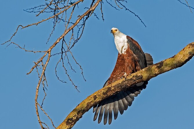 7-Days Kenya Safari Samburu, Aberdare, Lake Nakuru, & Maasai Mara - Booking and Cancellation