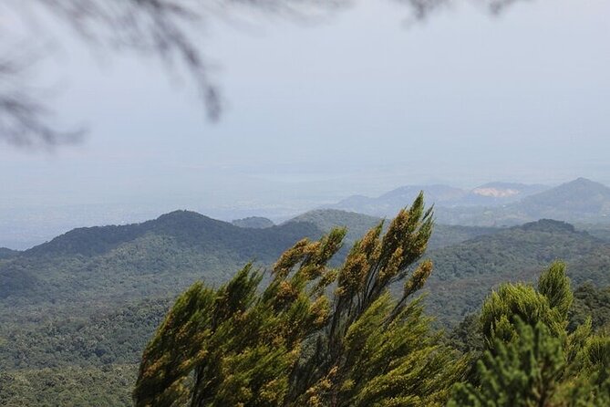 7 Days Lemosho Route Kilimanjaro Climbing | Solely Tours - Health and Fitness Requirements