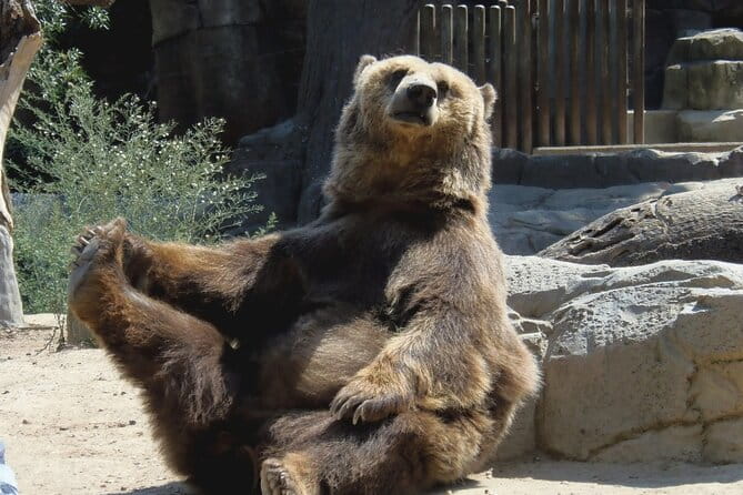 7 Days Private Guided Tour in Romania from Bucharest - FAQ