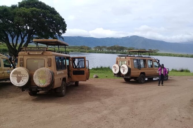 7 Days Tanzania Mid-Range Lodge Safari - Additional Information