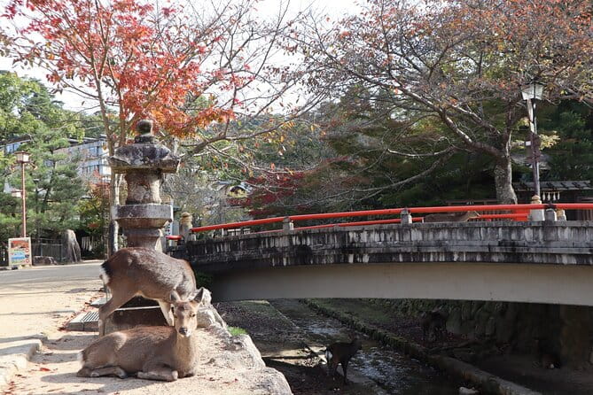 7 Hours Private Customizable Walking Tour in Hiroshima - Booking Information