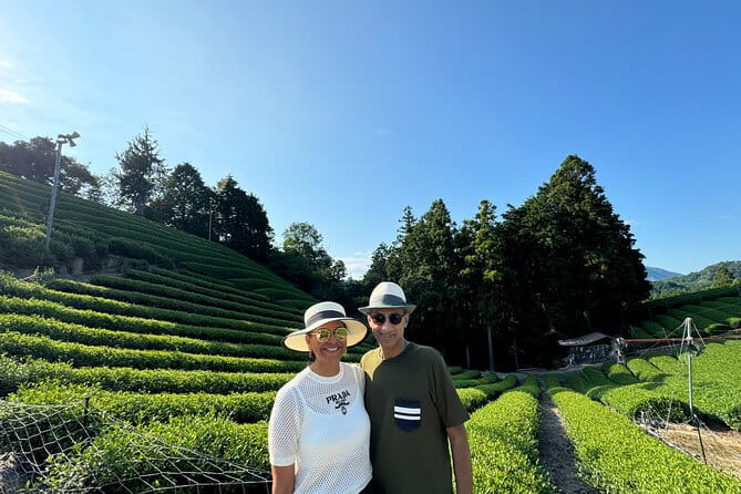 7hr Private Guided Van Tour Nara & Matcha Farm - Key Points