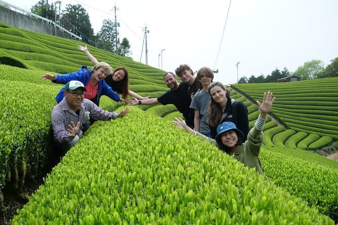 7hr Private Guided Van Tour Nara & Matcha Farm - Meeting Point and Pickup Details