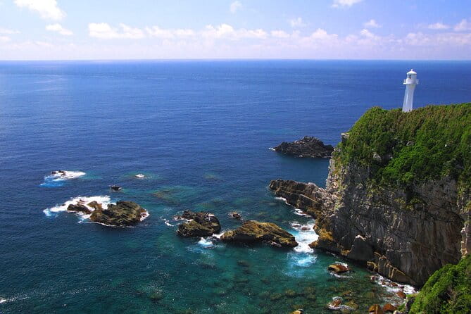 8-Day ONE WAY Bus Tour to Osaka From Fukuoka via BEPPU & SHIKOKU - Key Points