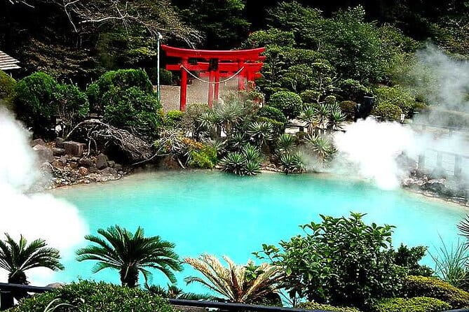 8-Day ONE WAY Bus Tour to Osaka From Fukuoka via BEPPU & SHIKOKU - Accessibility and Additional Information