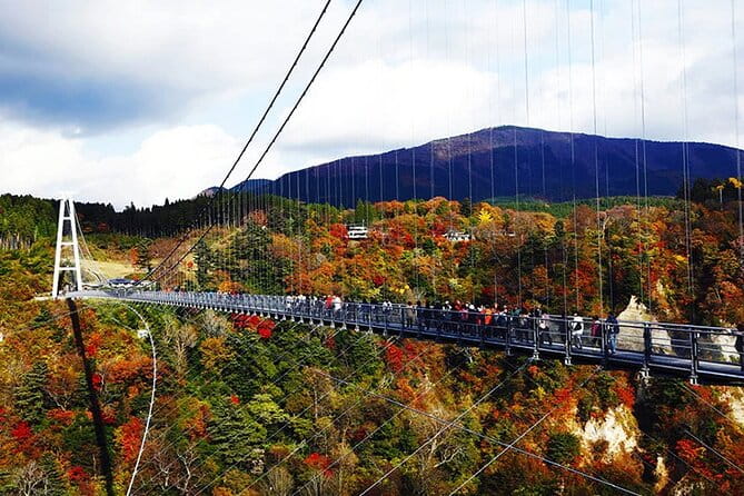 8-Day ONE WAY Bus Tour to Osaka From Fukuoka via BEPPU & SHIKOKU - Booking and Cancellation Policy