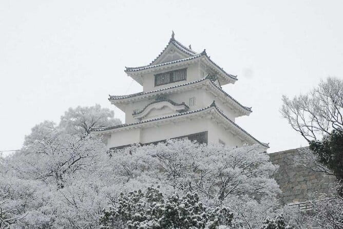 8 Day Private One Way Bus Tour to Fukuoka From Osaka - Entrance Fees