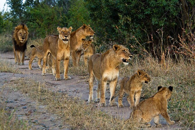 8 Day Safari The Best of Tanzania & Lake Eyasi - Included Meals