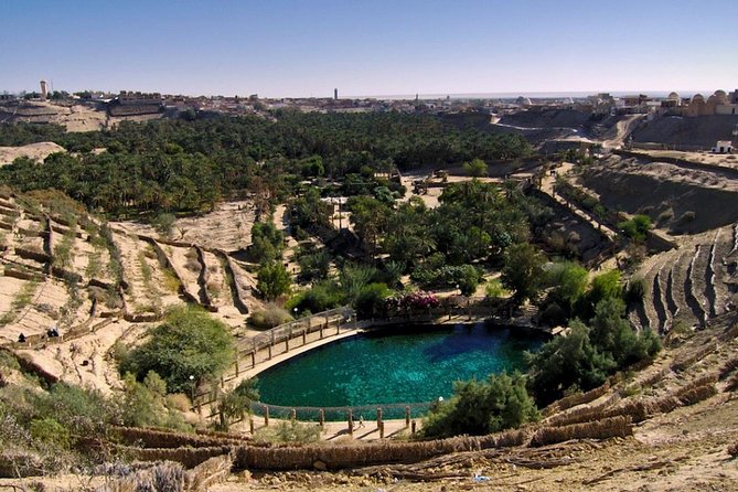 8 Days Tunisia Essential Discovery Private Tour - Inclusions and Services