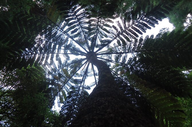 8-Hour Private Tour in 4x4 Vehicle From Ponta Delgada - Whats Included in the Tour