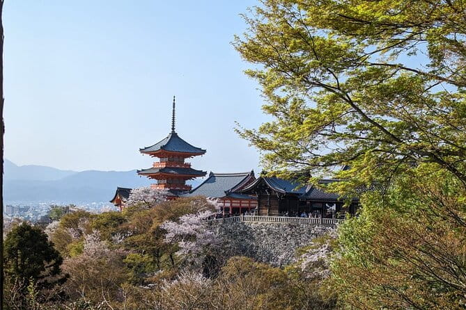 8 Hour Private Tour of Kyoto - Exploring Kyotos Rich History and Culture