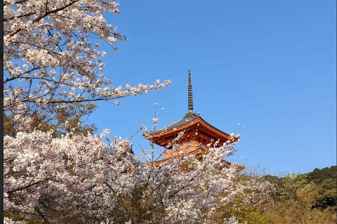 8 Hour Private Tour of Kyoto - Navigating the Tour With Ease and Convenience
