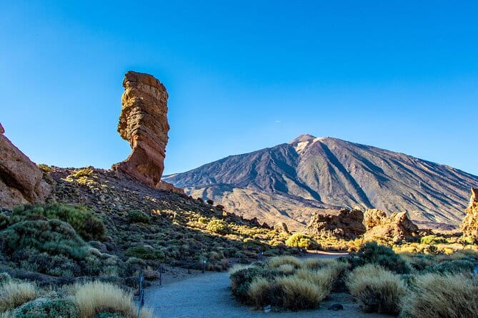 8-Hour Rental in a Luxury Car and Driver/Official Private Guide in Tenerife - Who Should Consider This Tour?