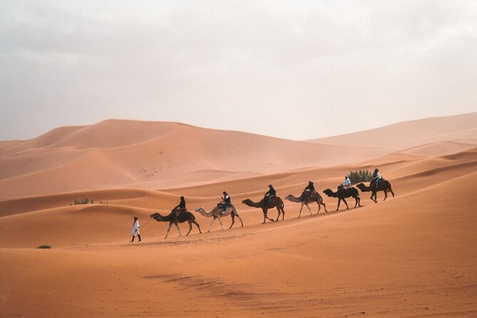 8-Hour Tour Giza Pyramids, Egyptian Museum and Cairo Bazaar - Cairo Tour Highlights